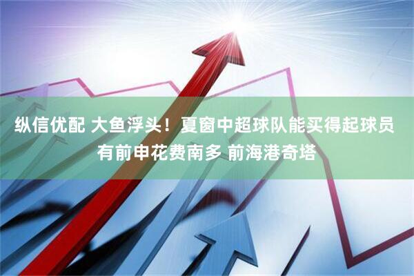 纵信优配 大鱼浮头！夏窗中超球队能买得起球员 有前申花费南多 前海港奇塔