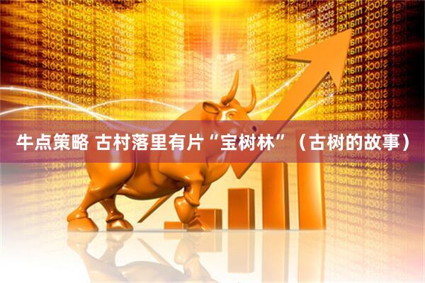 牛点策略 古村落里有片“宝树林”（古树的故事）