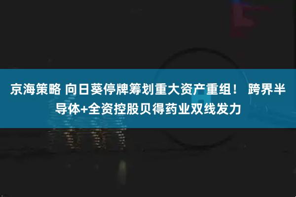 京海策略 向日葵停牌筹划重大资产重组！ 跨界半导体+全资控股贝得药业双线发力