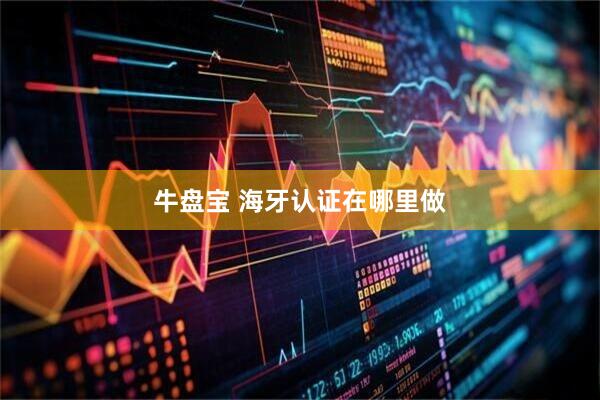 牛盘宝 海牙认证在哪里做