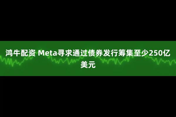 鸿牛配资 Meta寻求通过债券发行筹集至少250亿美元